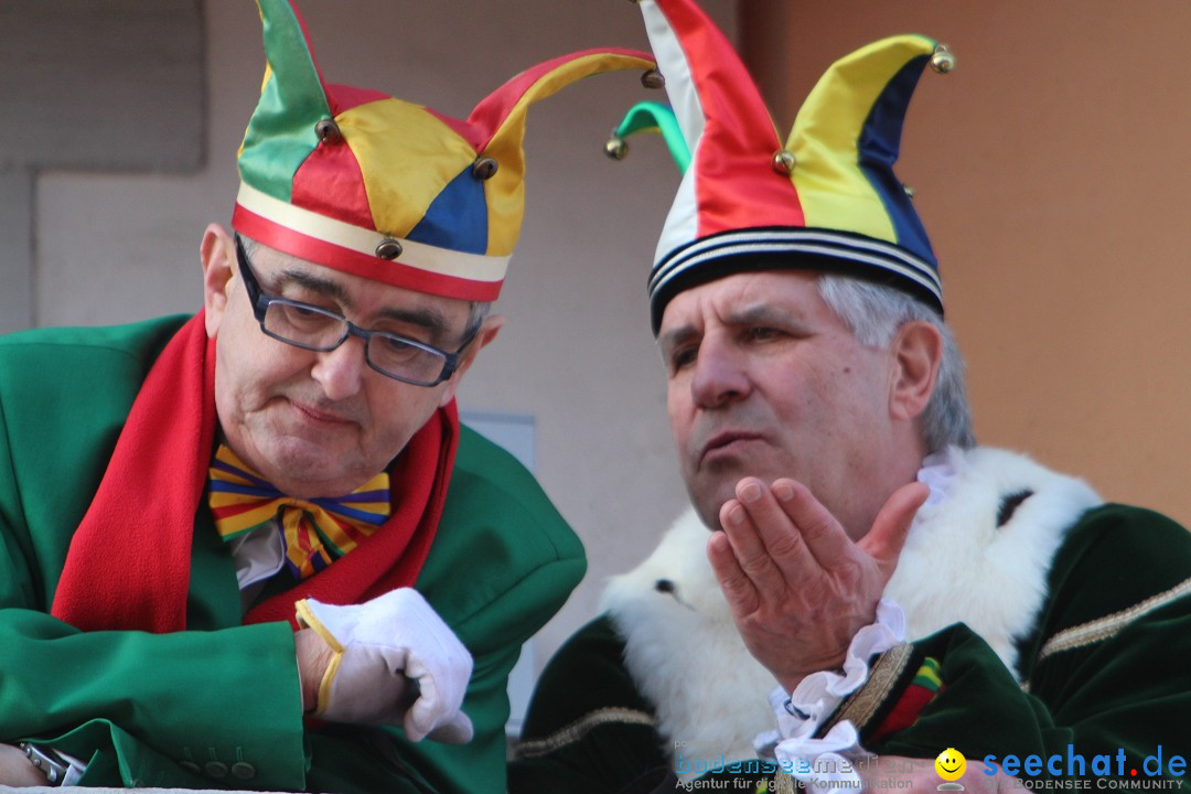 Narrenbaumstellen, Winfried Kretschmann: Stockach am Bodensee, 27.02.2014