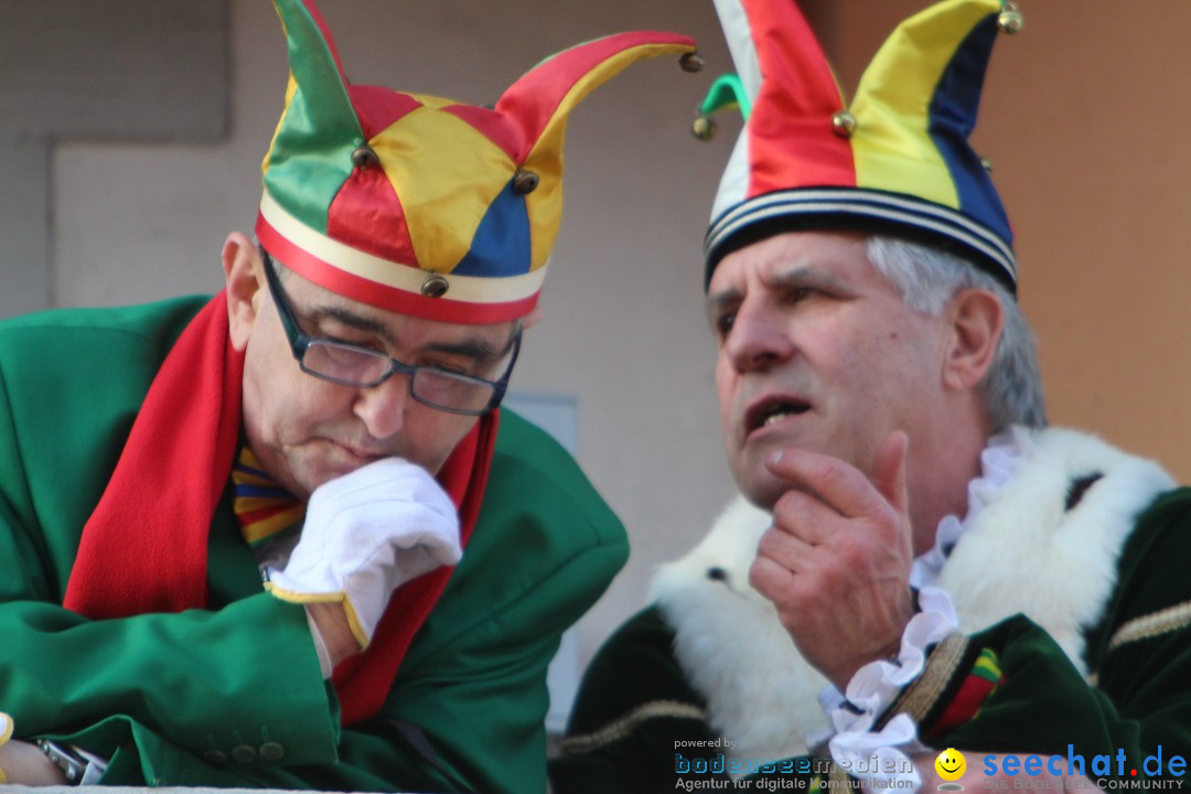 Narrenbaumstellen, Winfried Kretschmann: Stockach am Bodensee, 27.02.2014