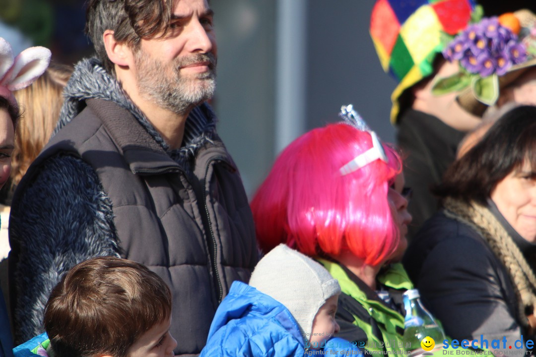 Narrenbaumstellen, Winfried Kretschmann: Stockach am Bodensee, 27.02.2014