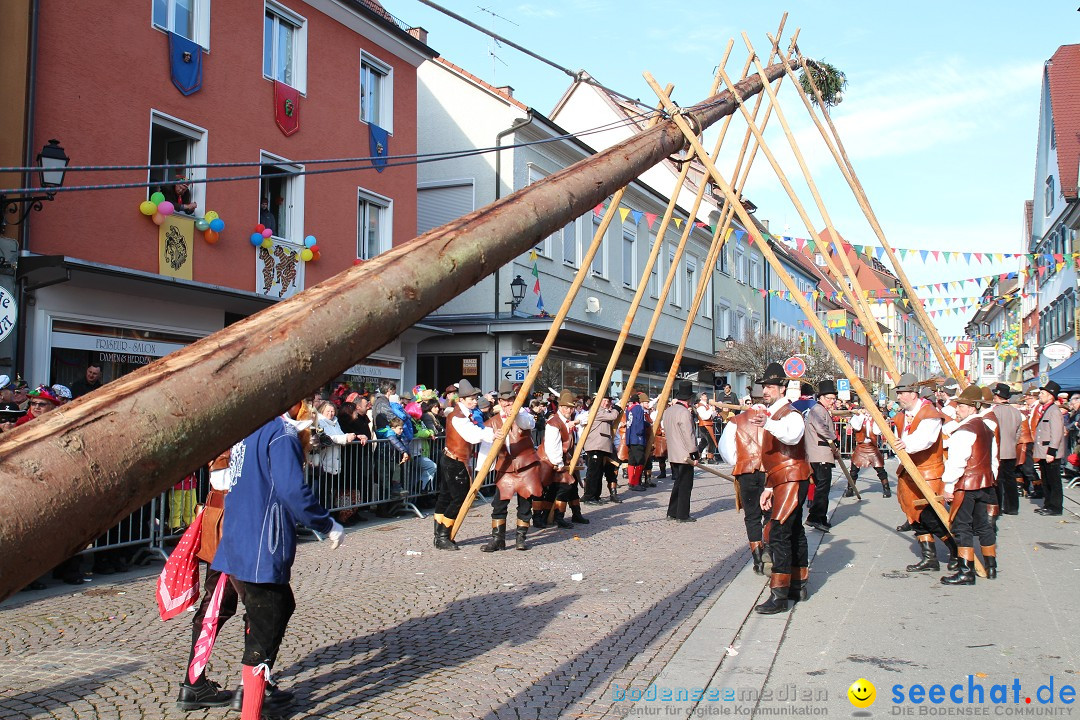 Narrenbaumstellen, Winfried Kretschmann: Stockach am Bodensee, 27.02.2014