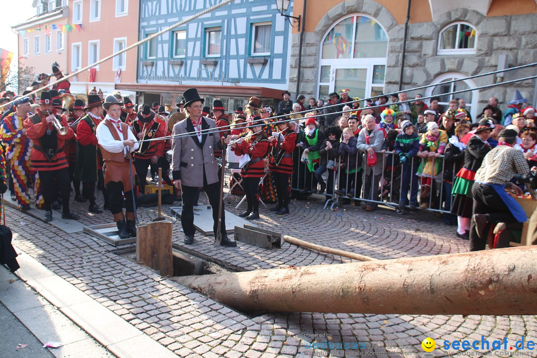 Narrenbaumstellen, Winfried Kretschmann: Stockach am Bodensee, 27.02.2014