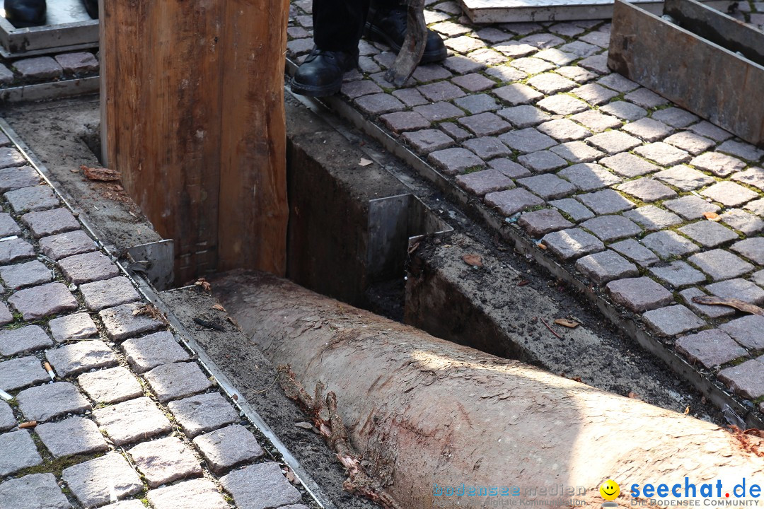 Narrenbaumstellen, Winfried Kretschmann: Stockach am Bodensee, 27.02.2014