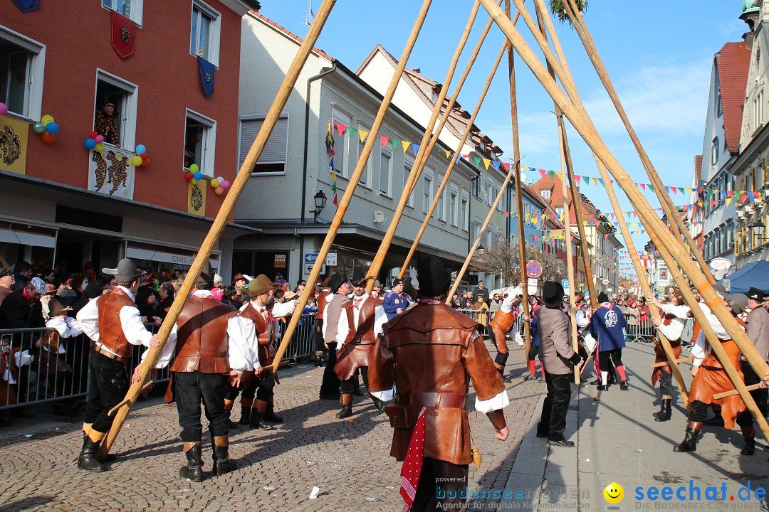 Narrenbaumstellen, Winfried Kretschmann: Stockach am Bodensee, 27.02.2014