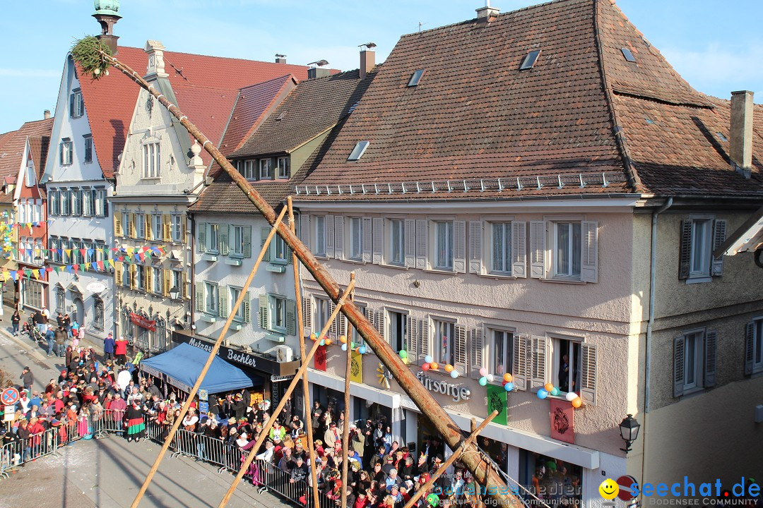 Narrenbaumstellen, Winfried Kretschmann: Stockach am Bodensee, 27.02.2014