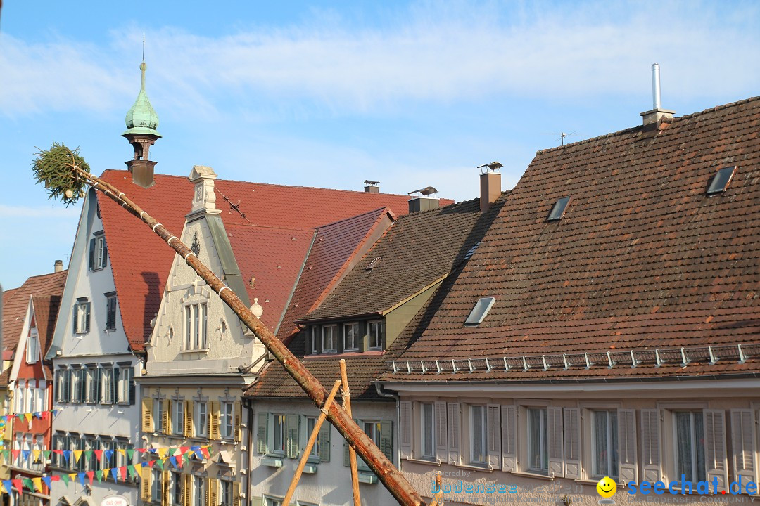 Narrenbaumstellen, Winfried Kretschmann: Stockach am Bodensee, 27.02.2014