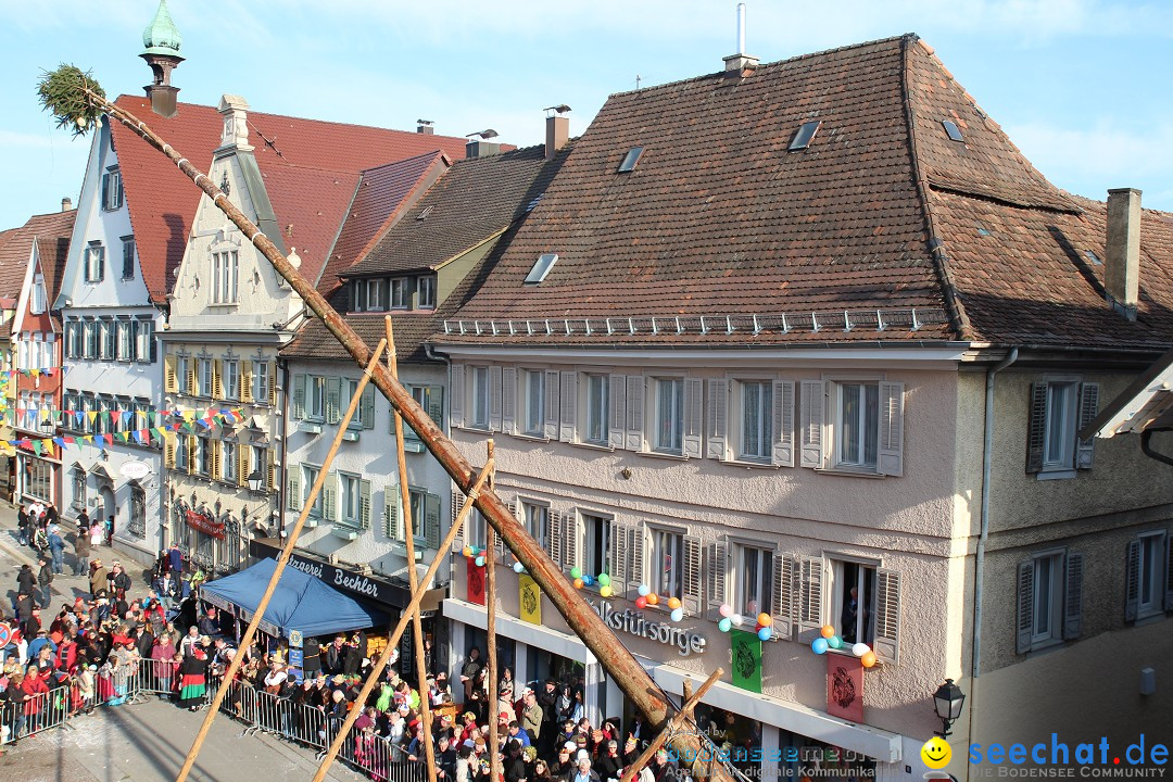 Narrenbaumstellen, Winfried Kretschmann: Stockach am Bodensee, 27.02.2014