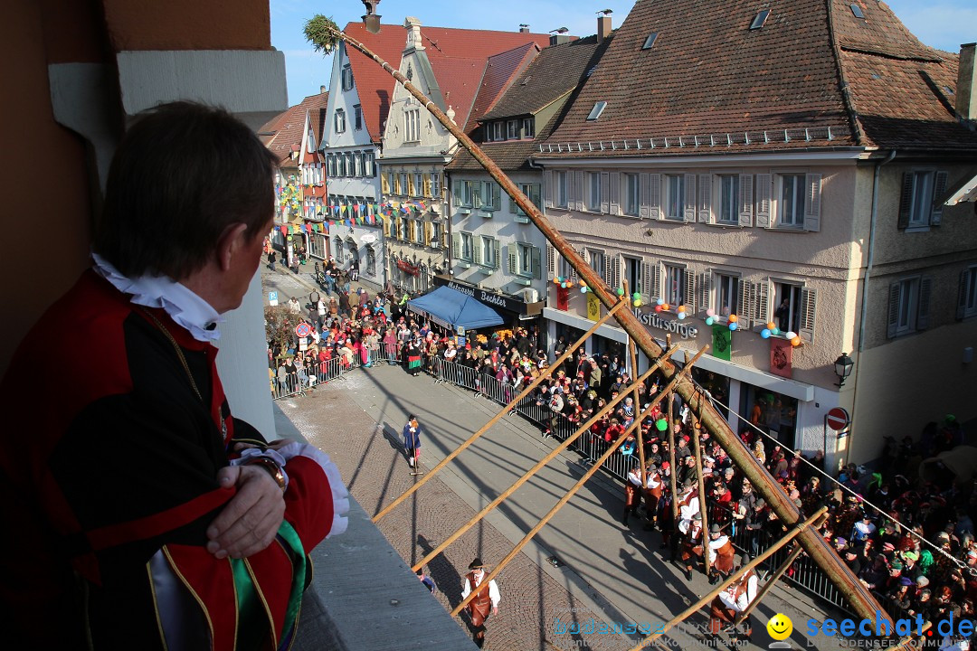 Narrenbaumstellen, Winfried Kretschmann: Stockach am Bodensee, 27.02.2014