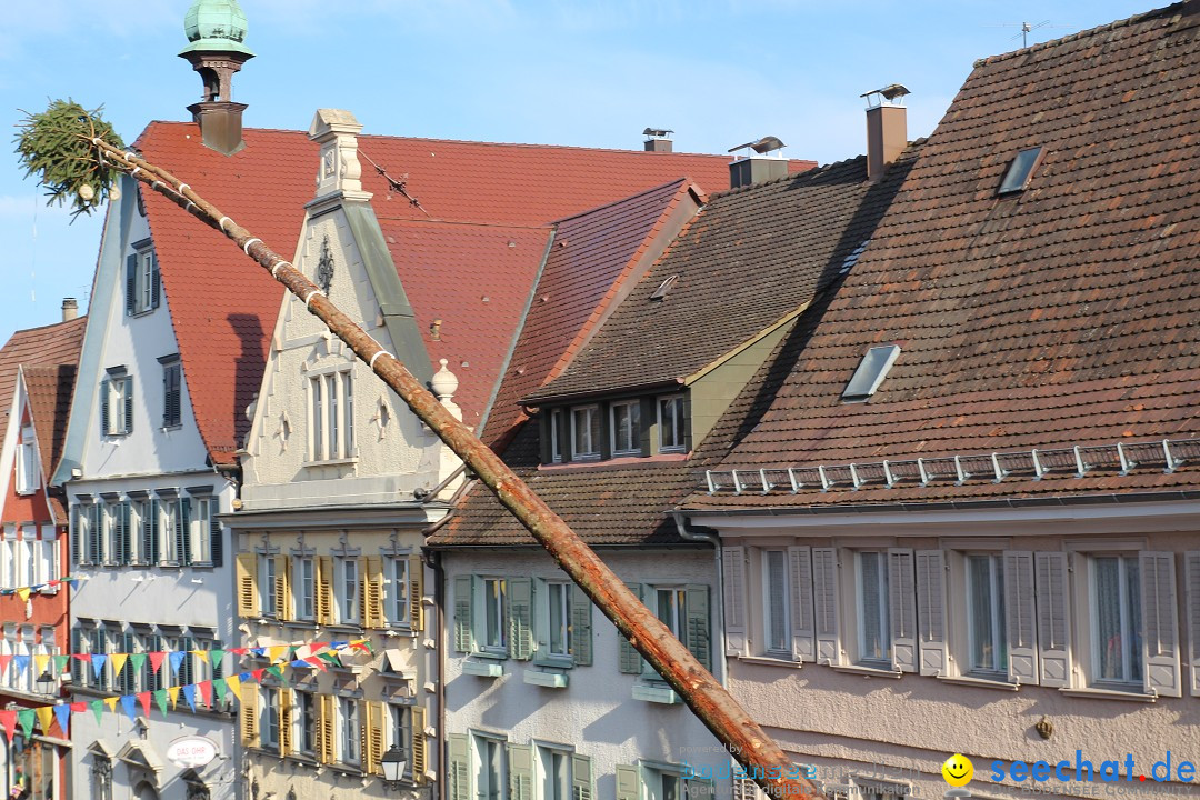 Narrenbaumstellen, Winfried Kretschmann: Stockach am Bodensee, 27.02.2014