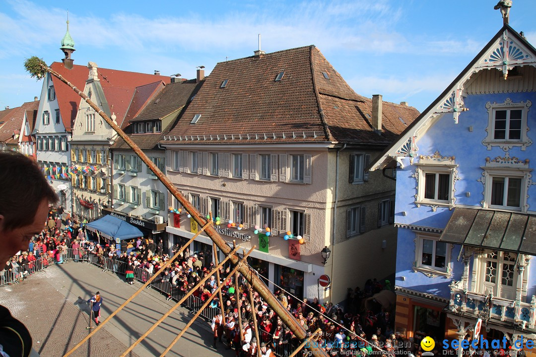 Narrenbaumstellen, Winfried Kretschmann: Stockach am Bodensee, 27.02.2014