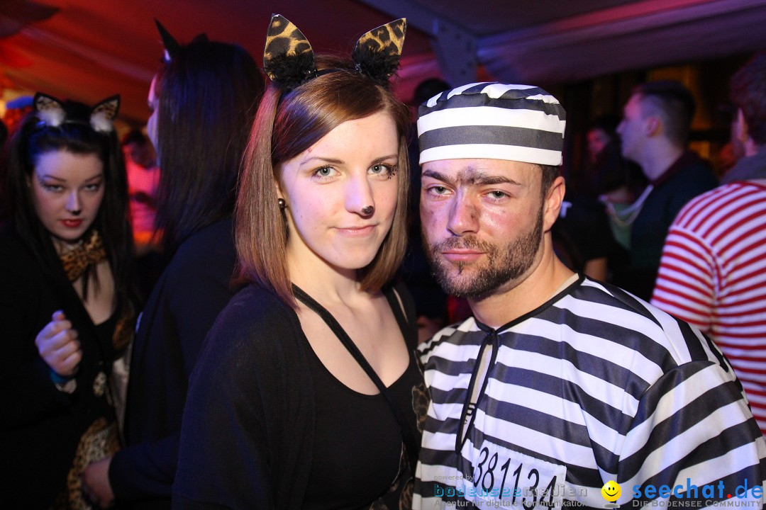 Stierball mit Heaven: Wahlwies am Bodensee mit seechat, 28.02.2014