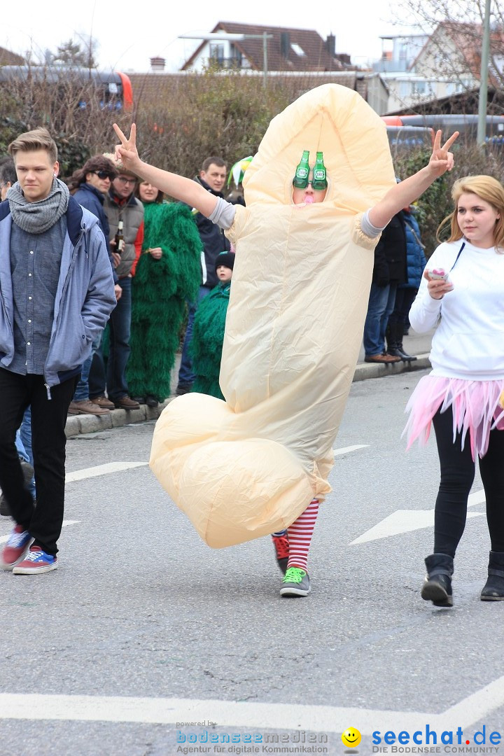 Fasnetsumzug - Fasching: Friedrichshafen am Bodensee, 01.03.2014