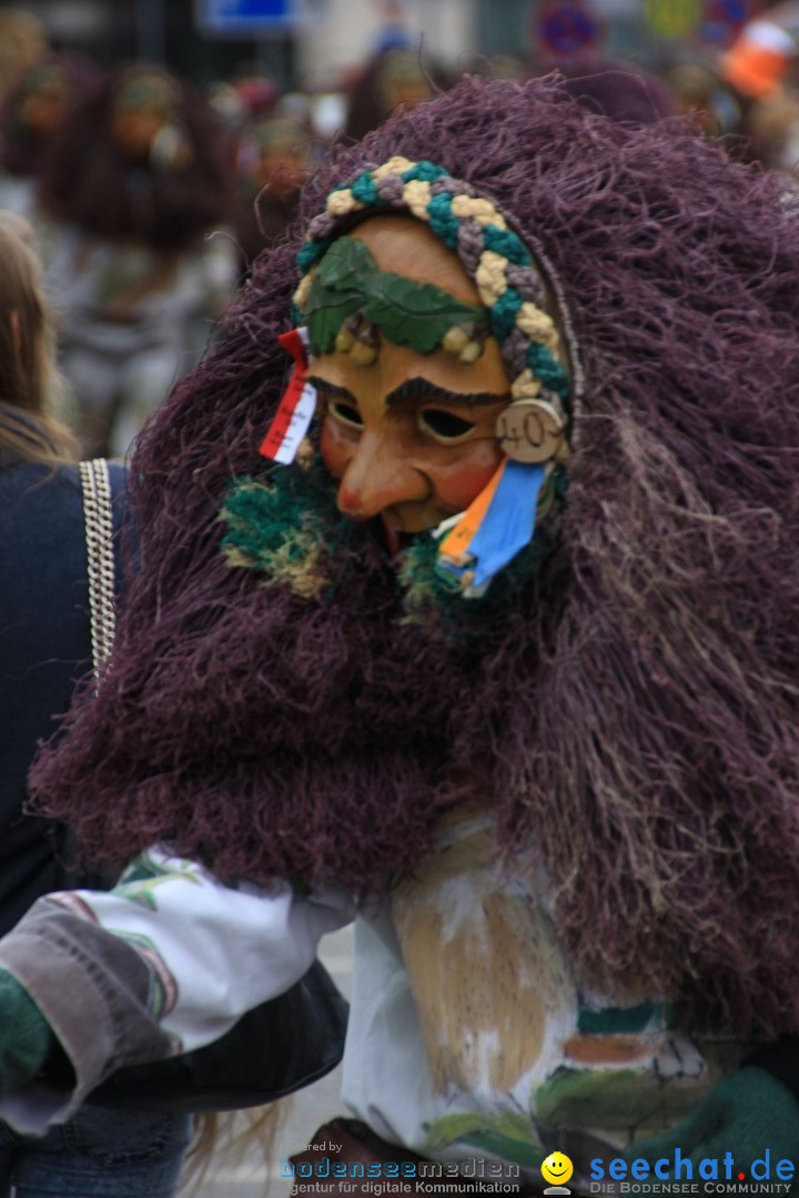 Fasnetsumzug - Fasching: Friedrichshafen am Bodensee, 01.03.2014