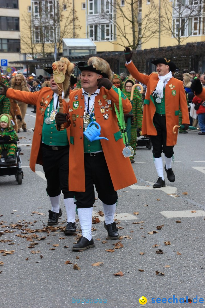 Fasnetsumzug - Fasching: Friedrichshafen am Bodensee, 01.03.2014