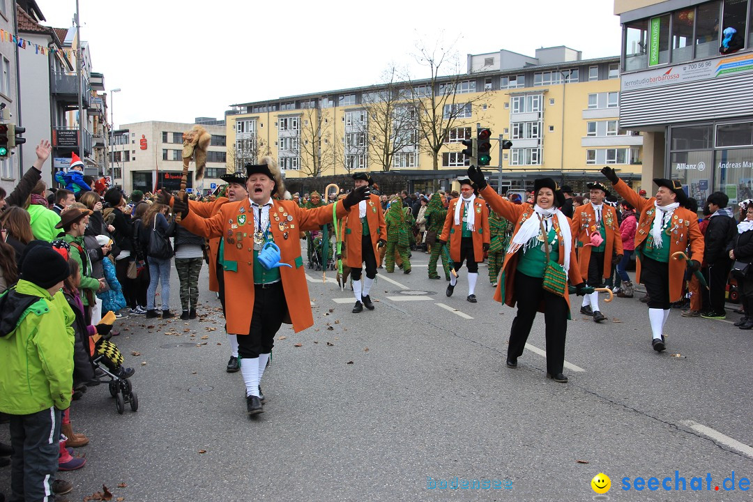 Fasnetsumzug - Fasching: Friedrichshafen am Bodensee, 01.03.2014