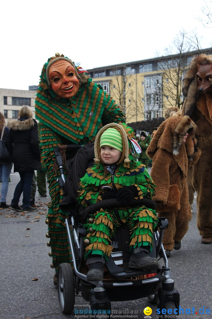 Fasnetsumzug - Fasching: Friedrichshafen am Bodensee, 01.03.2014