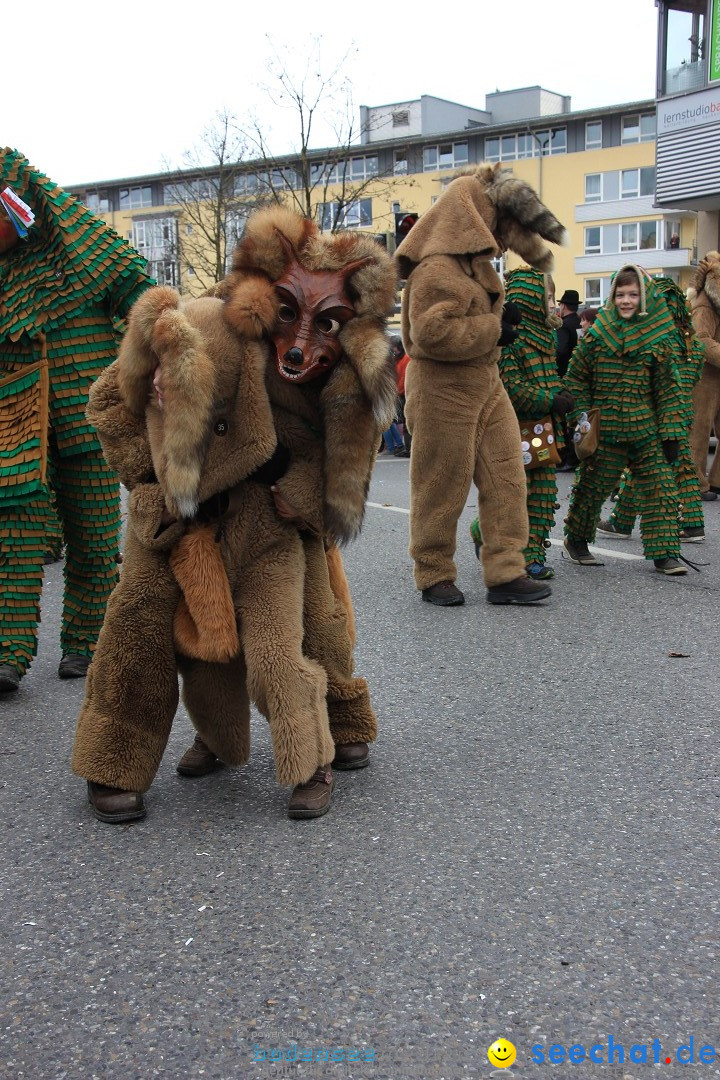 Fasnetsumzug - Fasching: Friedrichshafen am Bodensee, 01.03.2014