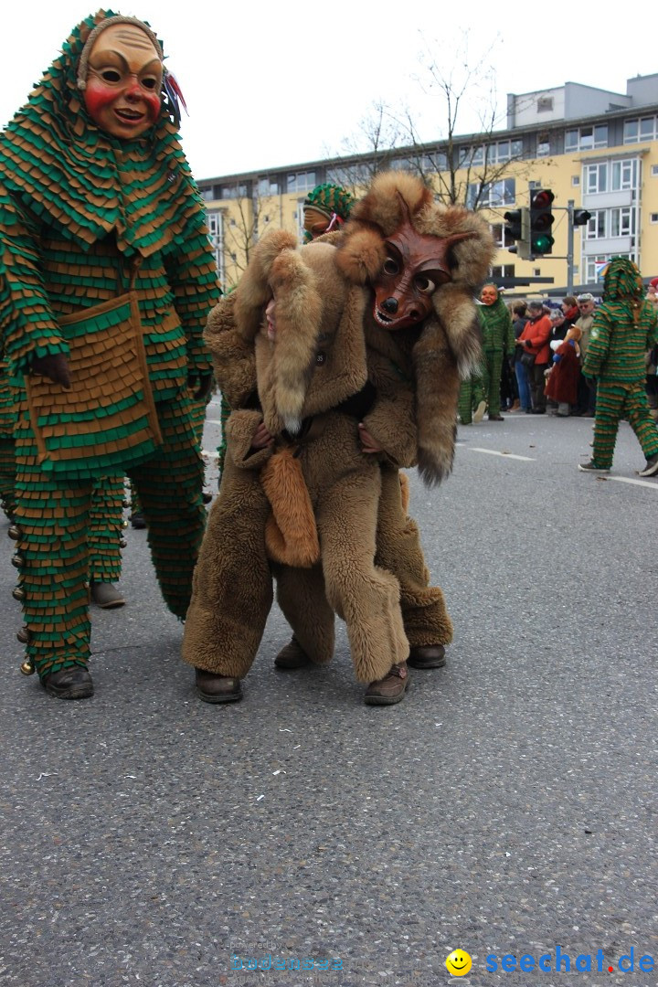 Fasnetsumzug - Fasching: Friedrichshafen am Bodensee, 01.03.2014