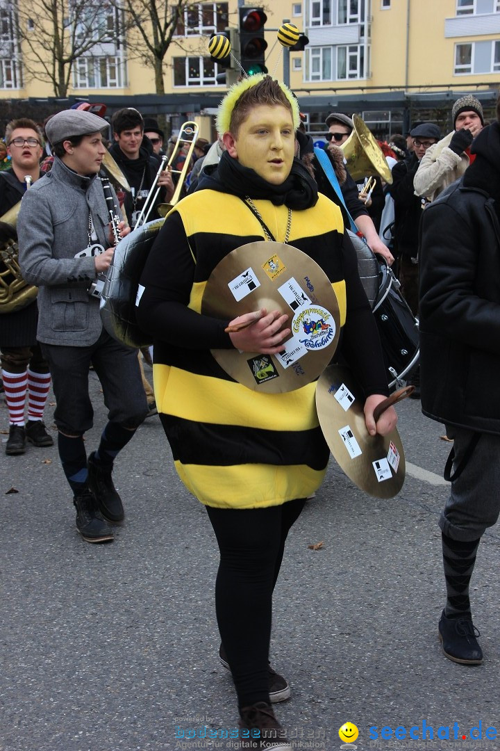 Fasnetsumzug - Fasching: Friedrichshafen am Bodensee, 01.03.2014