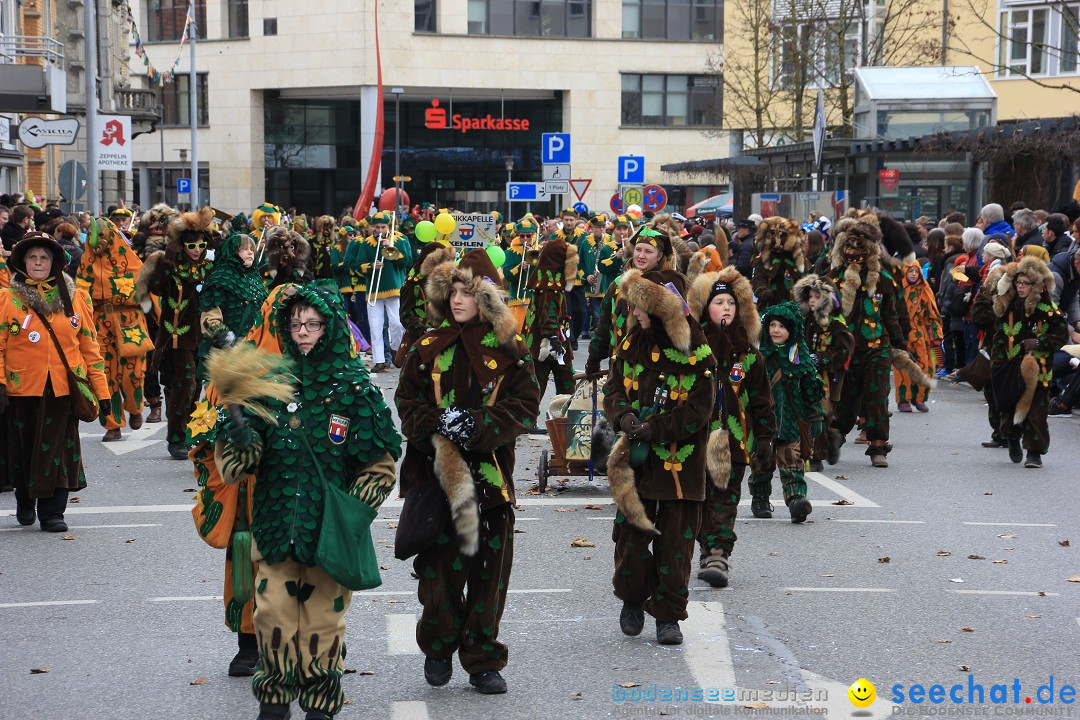 Fasnetsumzug - Fasching: Friedrichshafen am Bodensee, 01.03.2014