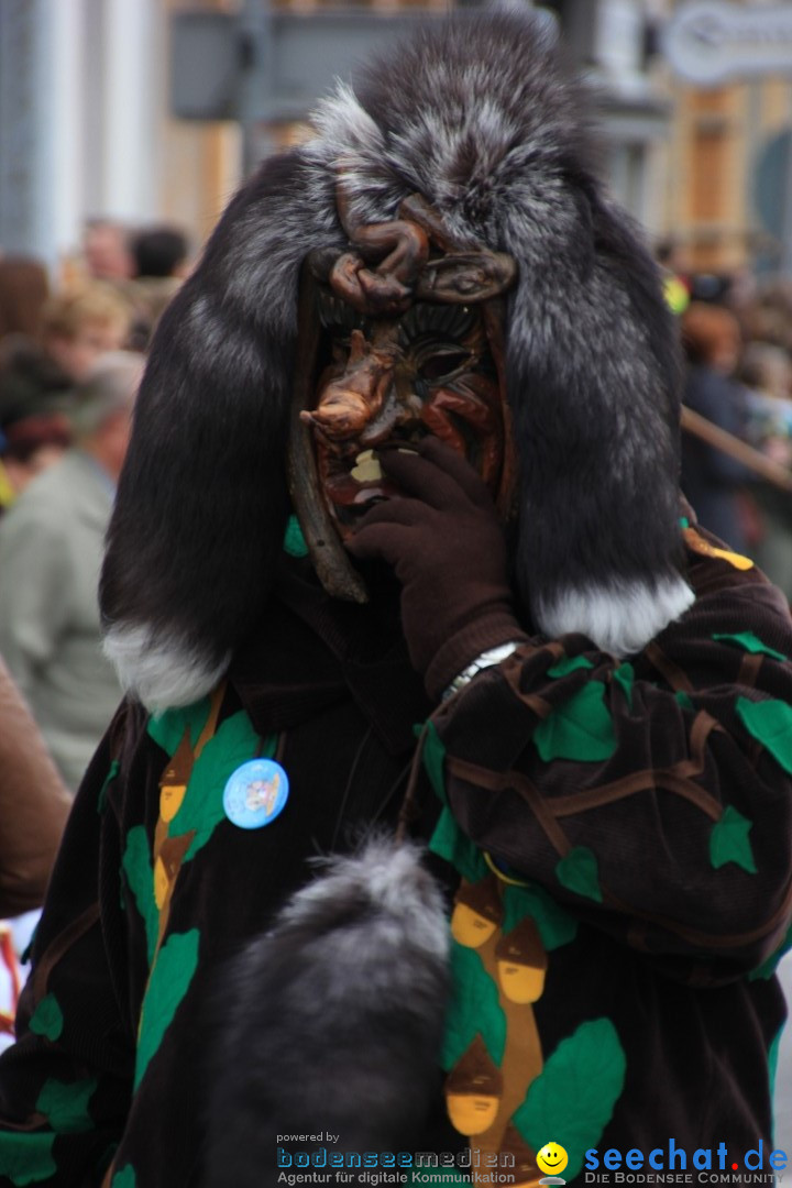 Fasnetsumzug - Fasching: Friedrichshafen am Bodensee, 01.03.2014