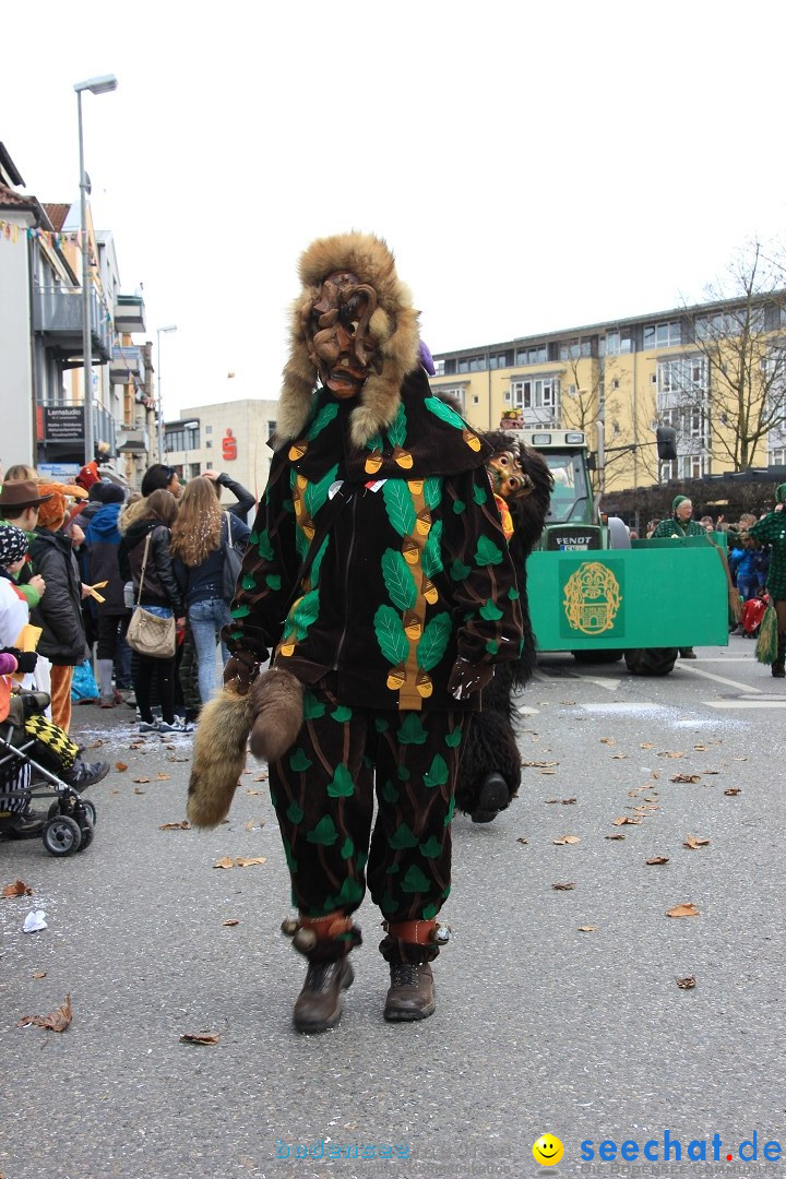 Fasnetsumzug - Fasching: Friedrichshafen am Bodensee, 01.03.2014