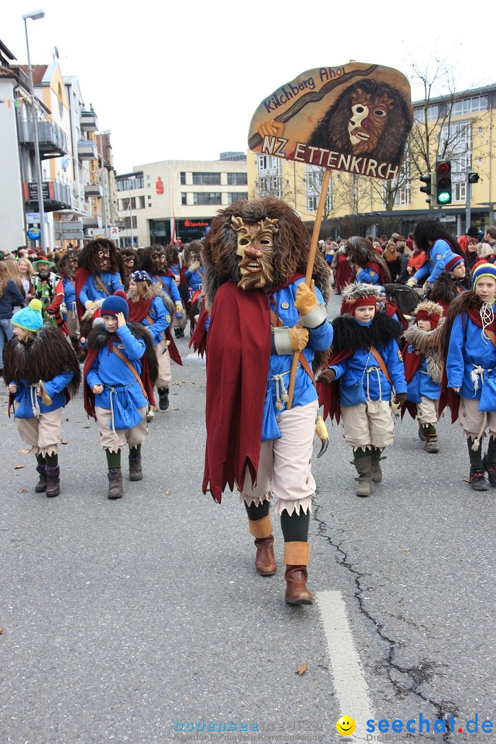 Fasnetsumzug - Fasching: Friedrichshafen am Bodensee, 01.03.2014