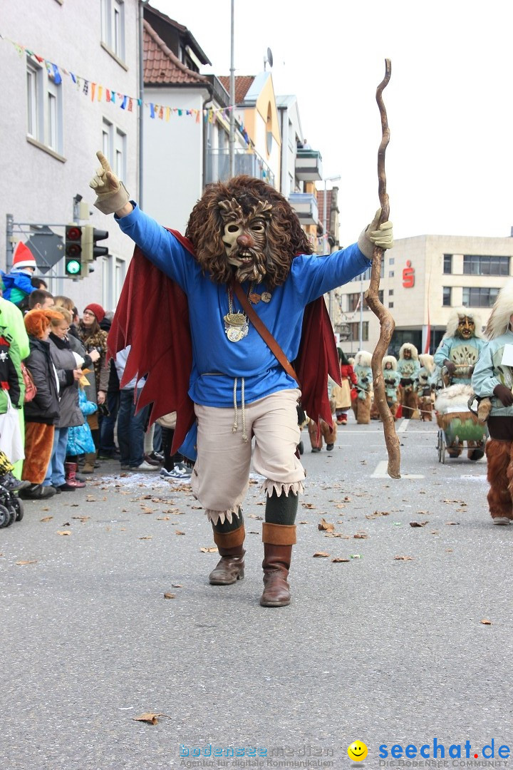 Fasnetsumzug - Fasching: Friedrichshafen am Bodensee, 01.03.2014