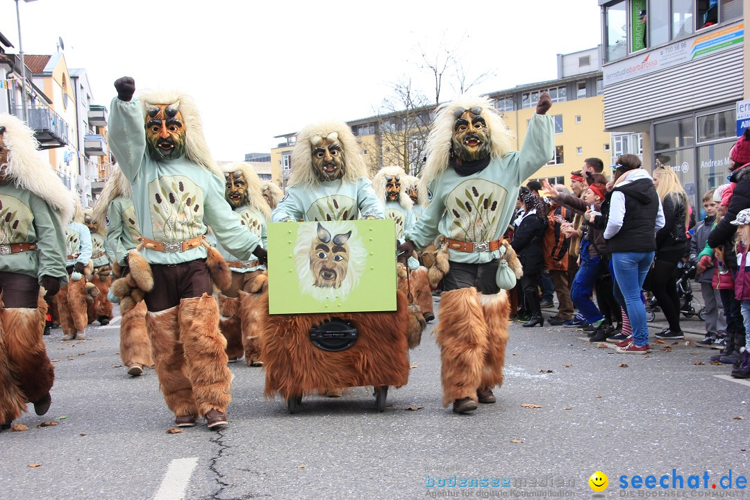 Fasnetsumzug - Fasching: Friedrichshafen am Bodensee, 01.03.2014