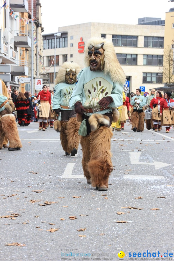 Fasnetsumzug - Fasching: Friedrichshafen am Bodensee, 01.03.2014