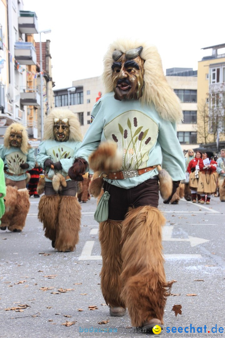 Fasnetsumzug - Fasching: Friedrichshafen am Bodensee, 01.03.2014