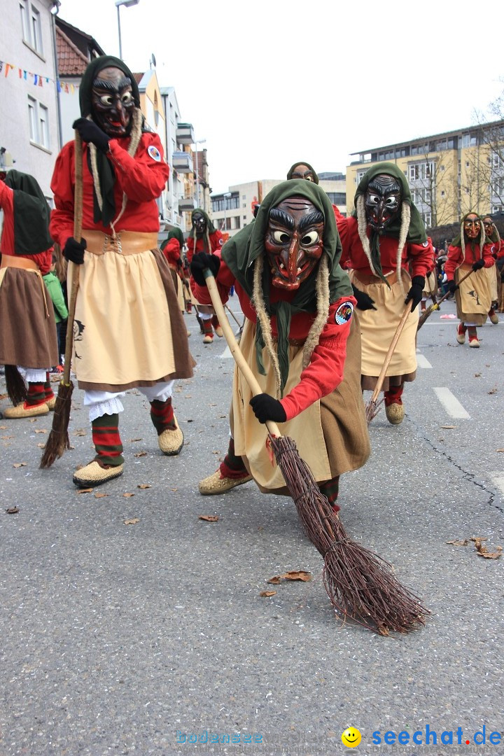 Fasnetsumzug - Fasching: Friedrichshafen am Bodensee, 01.03.2014