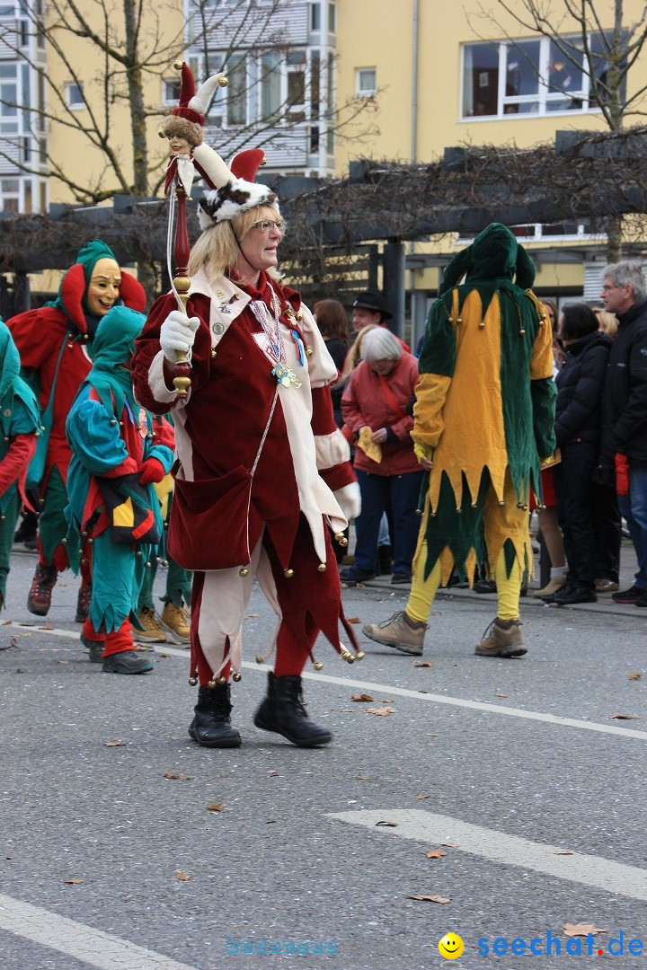 Fasnetsumzug - Fasching: Friedrichshafen am Bodensee, 01.03.2014