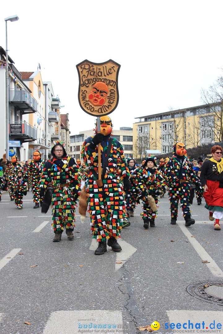 Fasnetsumzug - Fasching: Friedrichshafen am Bodensee, 01.03.2014