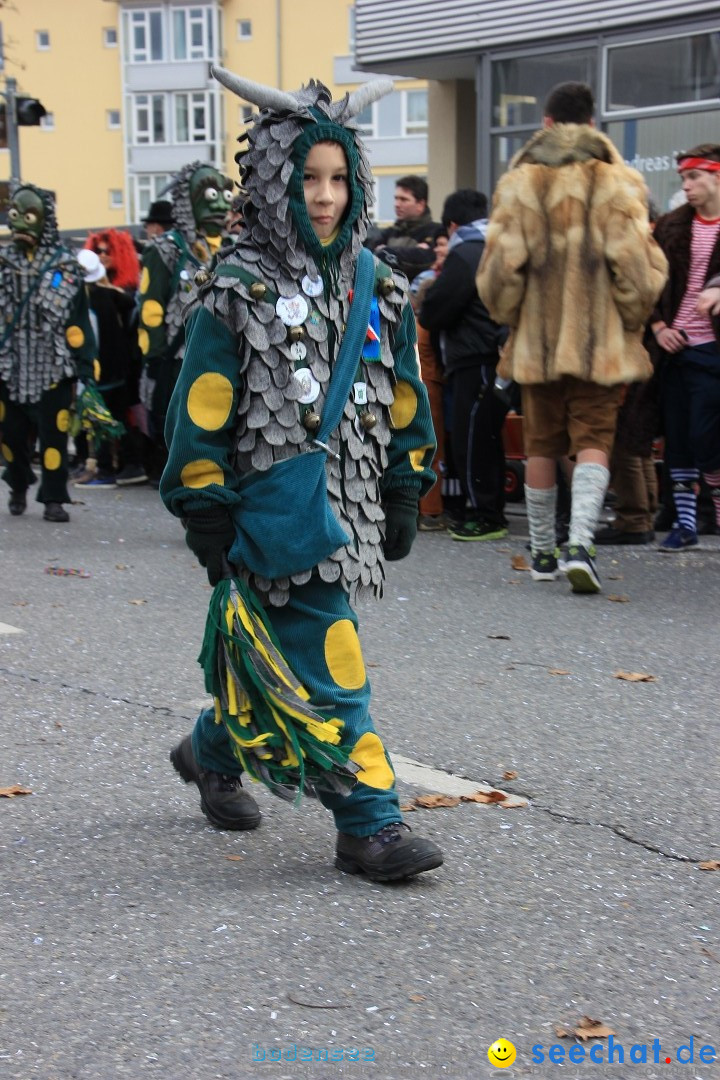 Fasnetsumzug - Fasching: Friedrichshafen am Bodensee, 01.03.2014