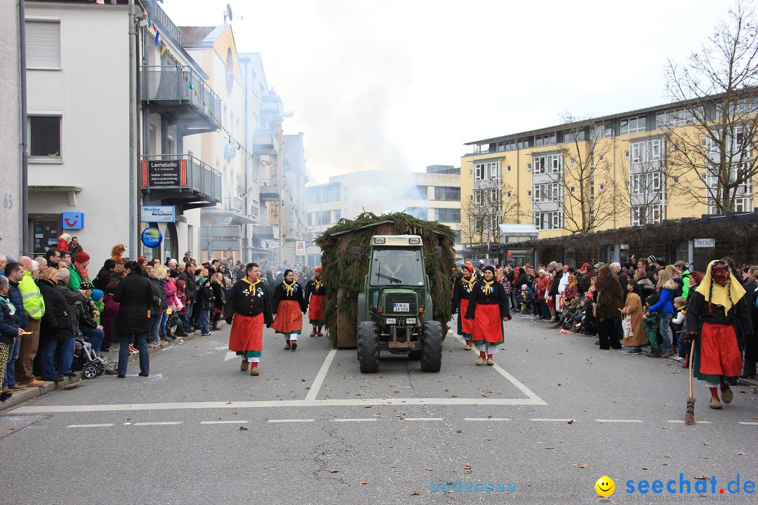 Fasnetsumzug - Fasching: Friedrichshafen am Bodensee, 01.03.2014