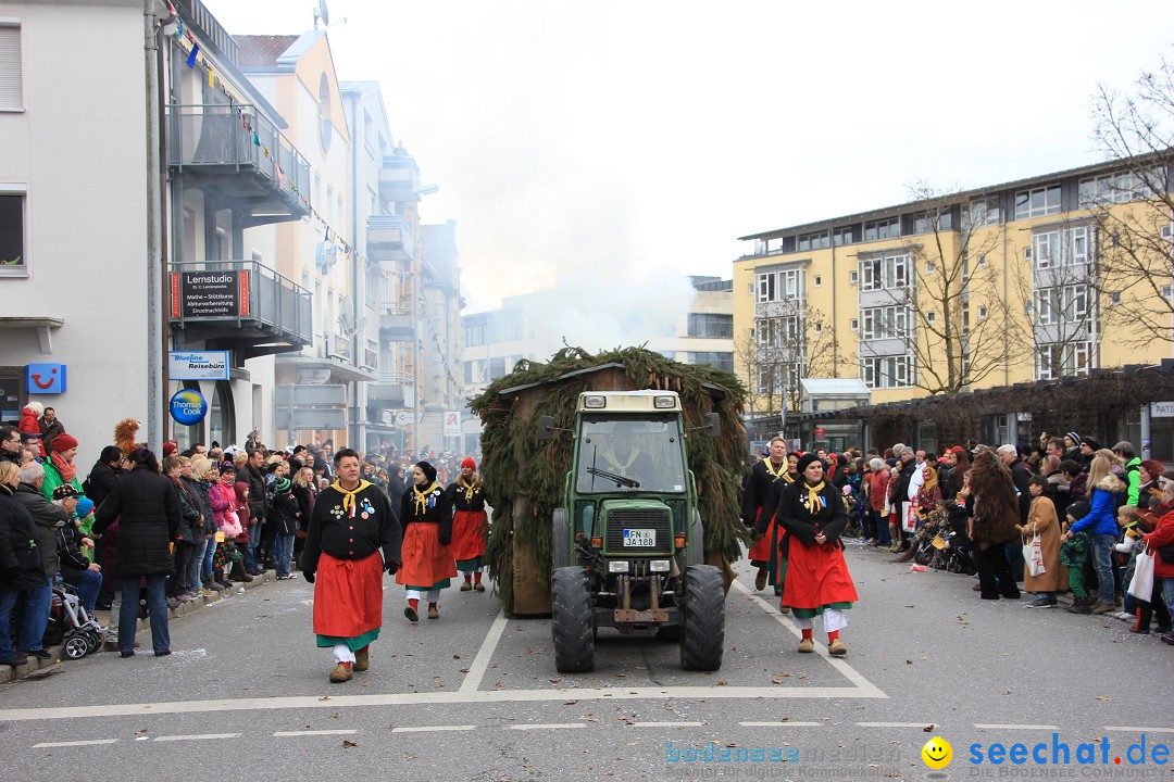 Fasnetsumzug - Fasching: Friedrichshafen am Bodensee, 01.03.2014