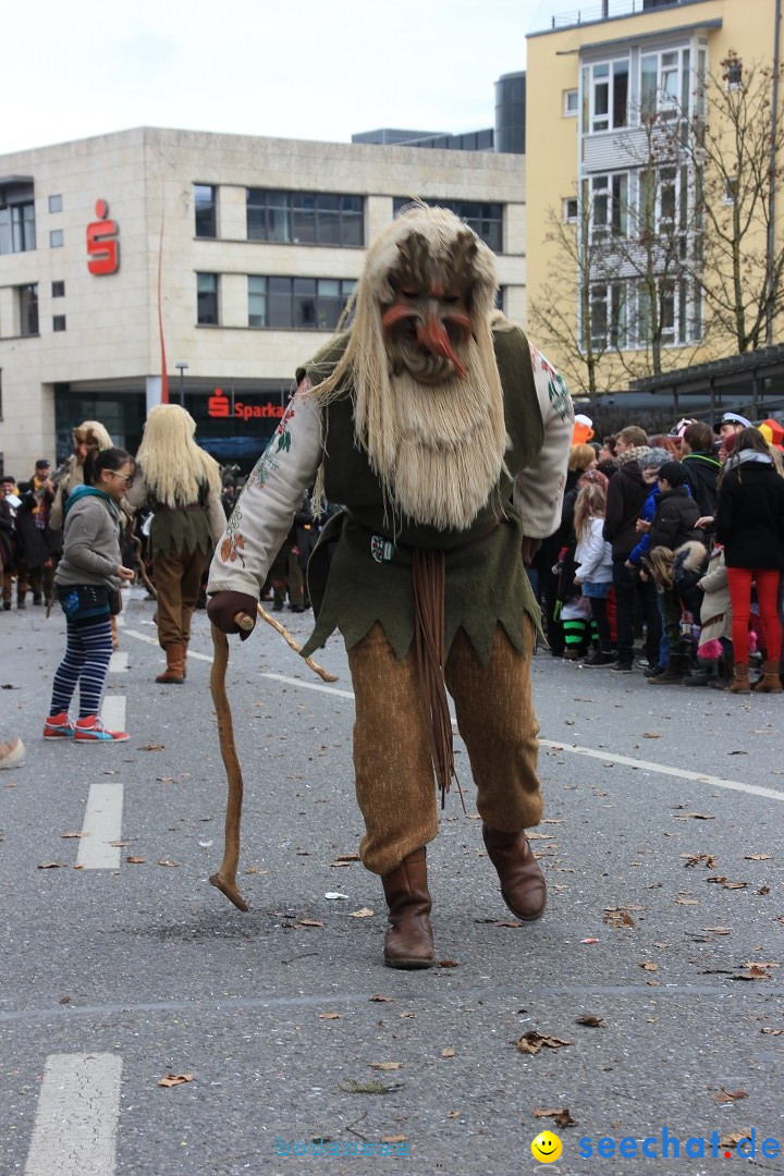 Fasnetsumzug - Fasching: Friedrichshafen am Bodensee, 01.03.2014