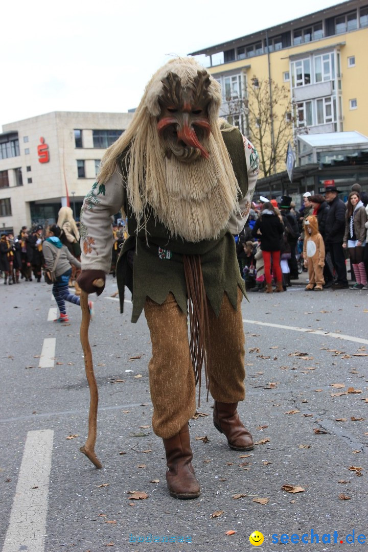 Fasnetsumzug - Fasching: Friedrichshafen am Bodensee, 01.03.2014