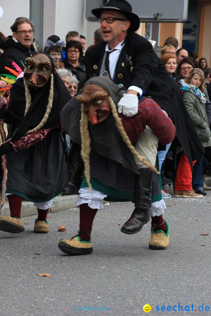 Fasnetsumzug - Fasching: Friedrichshafen am Bodensee, 01.03.2014