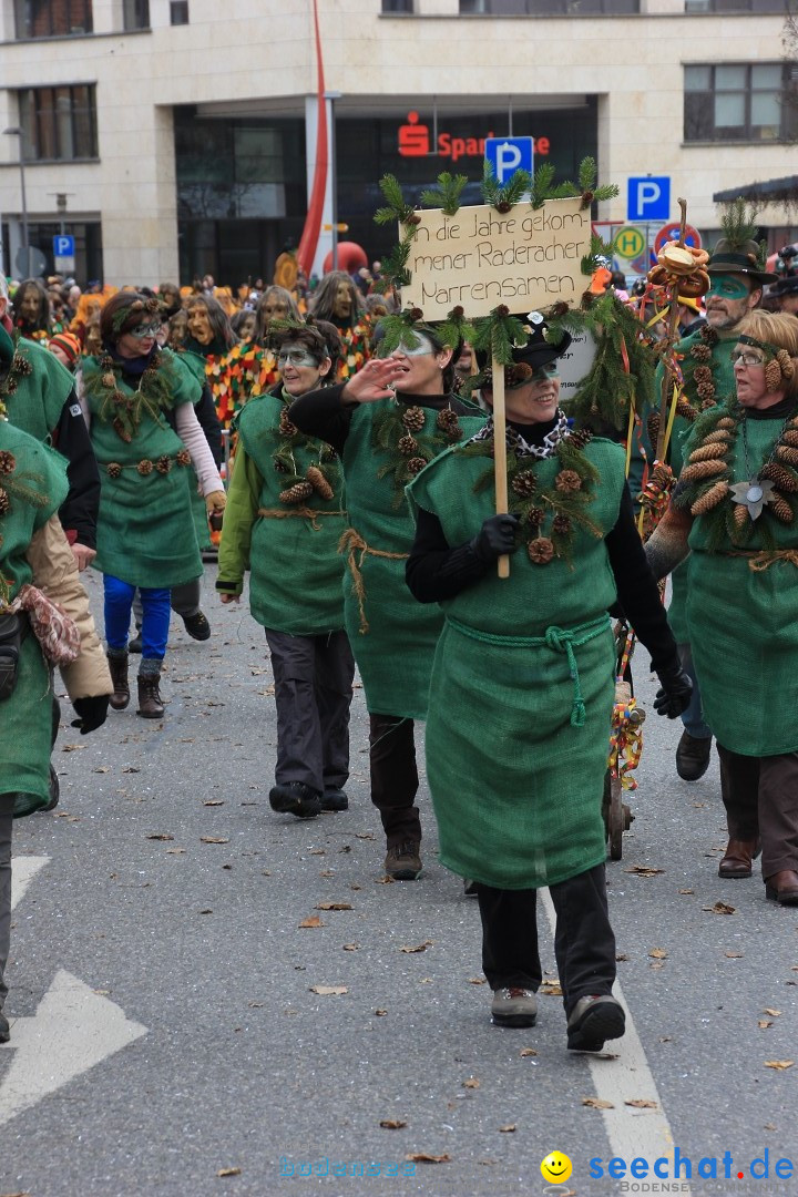 Fasnetsumzug - Fasching: Friedrichshafen am Bodensee, 01.03.2014