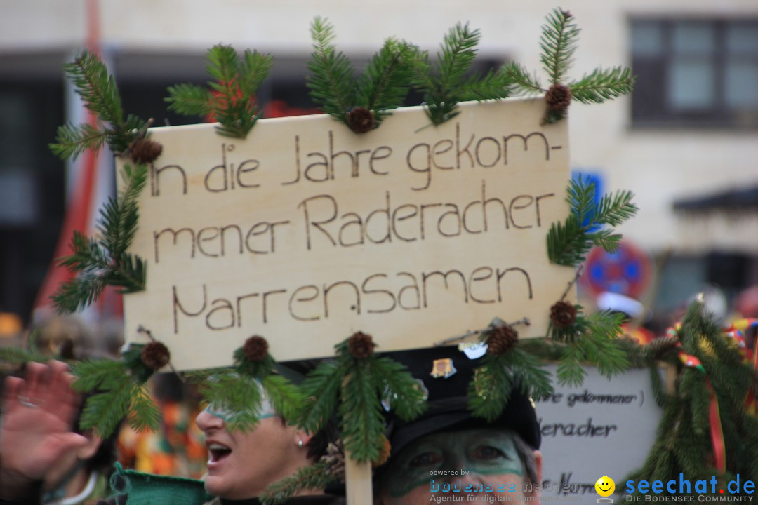 Fasnetsumzug - Fasching: Friedrichshafen am Bodensee, 01.03.2014