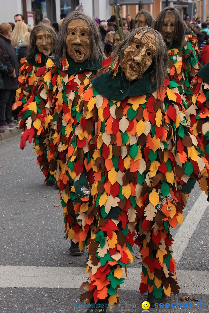 Fasnetsumzug - Fasching: Friedrichshafen am Bodensee, 01.03.2014