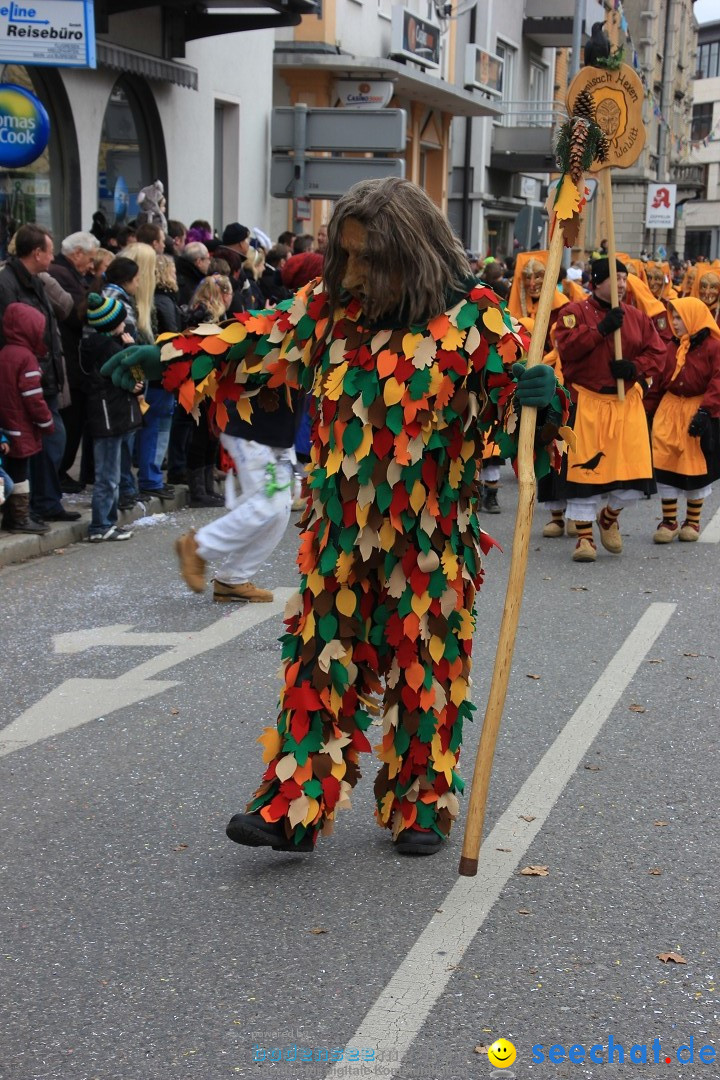 Fasnetsumzug - Fasching: Friedrichshafen am Bodensee, 01.03.2014