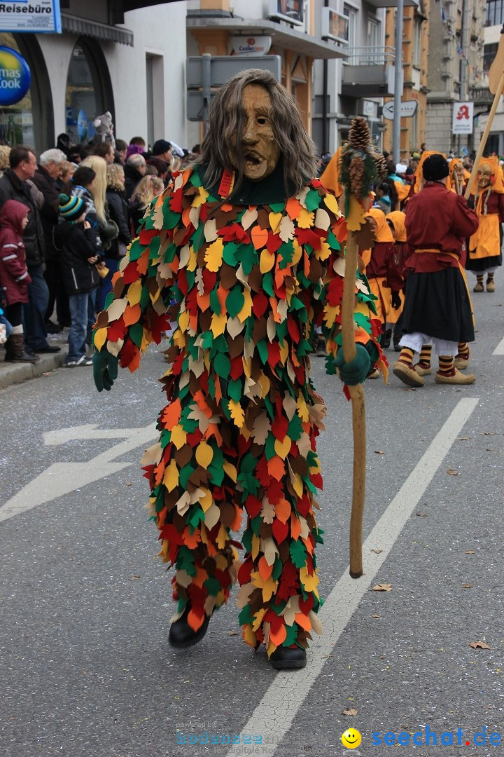 Fasnetsumzug - Fasching: Friedrichshafen am Bodensee, 01.03.2014