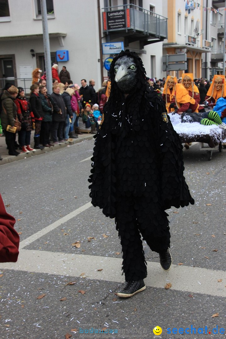 Fasnetsumzug - Fasching: Friedrichshafen am Bodensee, 01.03.2014