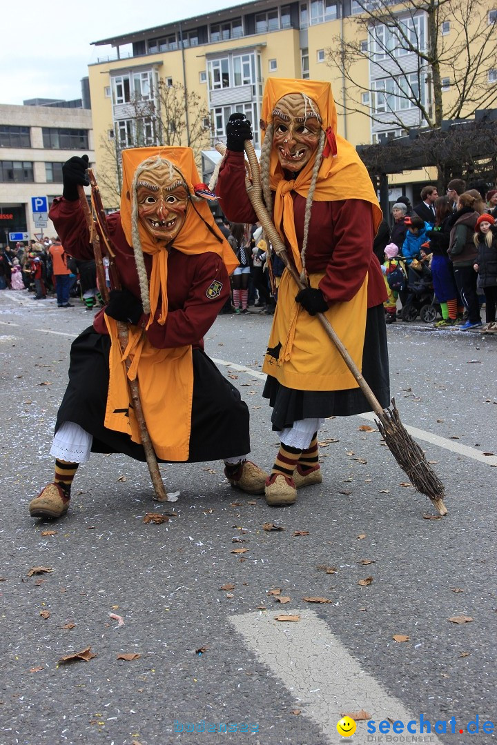 Fasnetsumzug - Fasching: Friedrichshafen am Bodensee, 01.03.2014