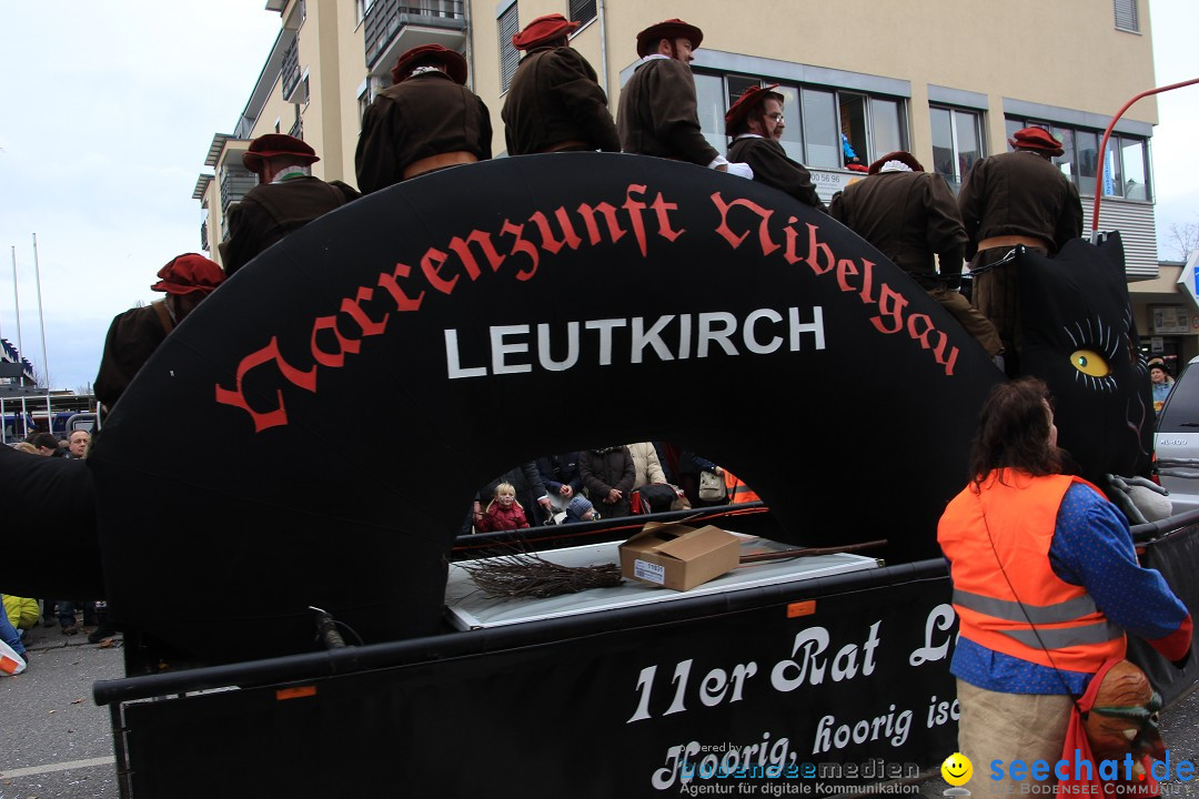 Fasnetsumzug - Fasching: Friedrichshafen am Bodensee, 01.03.2014