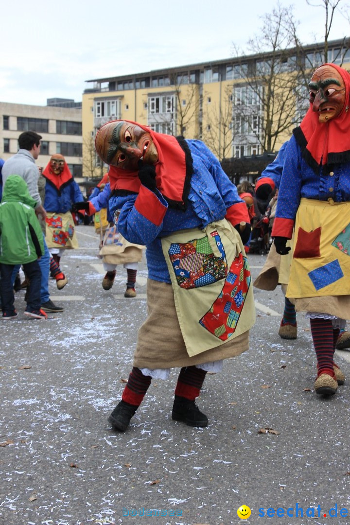 Fasnetsumzug - Fasching: Friedrichshafen am Bodensee, 01.03.2014