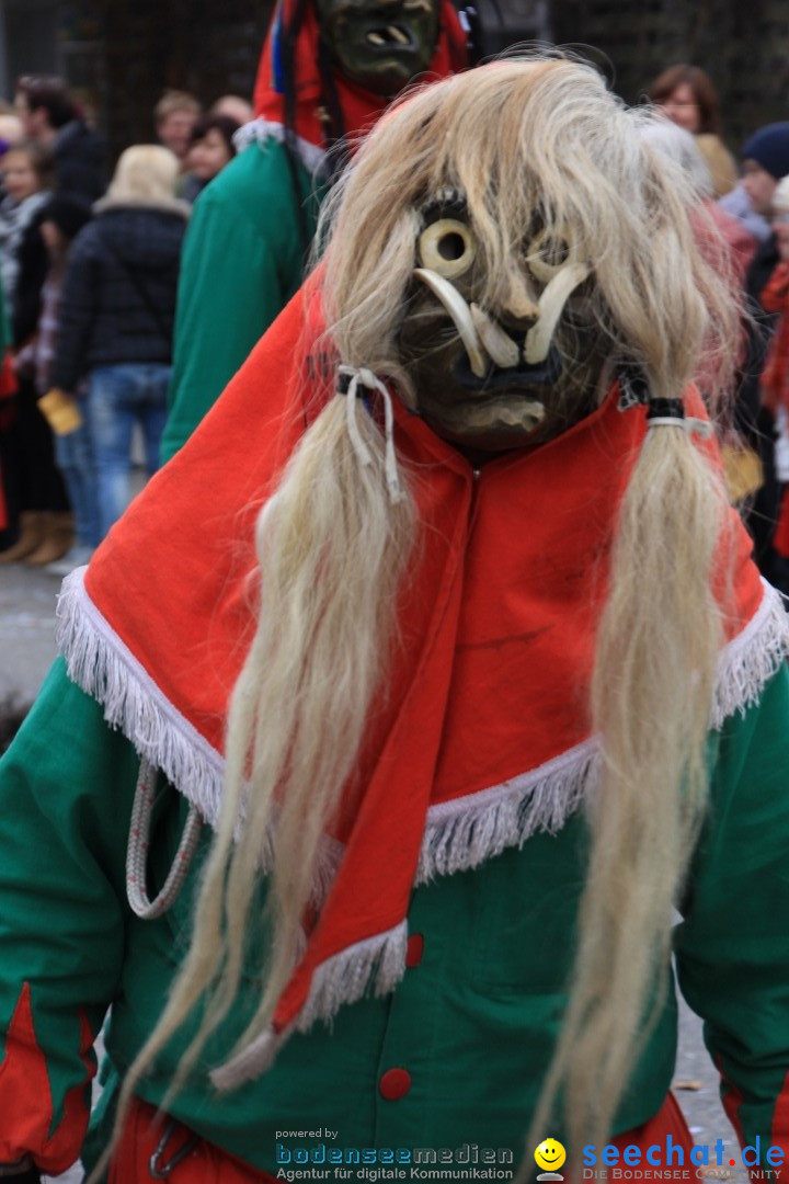 Fasnetsumzug - Fasching: Friedrichshafen am Bodensee, 01.03.2014