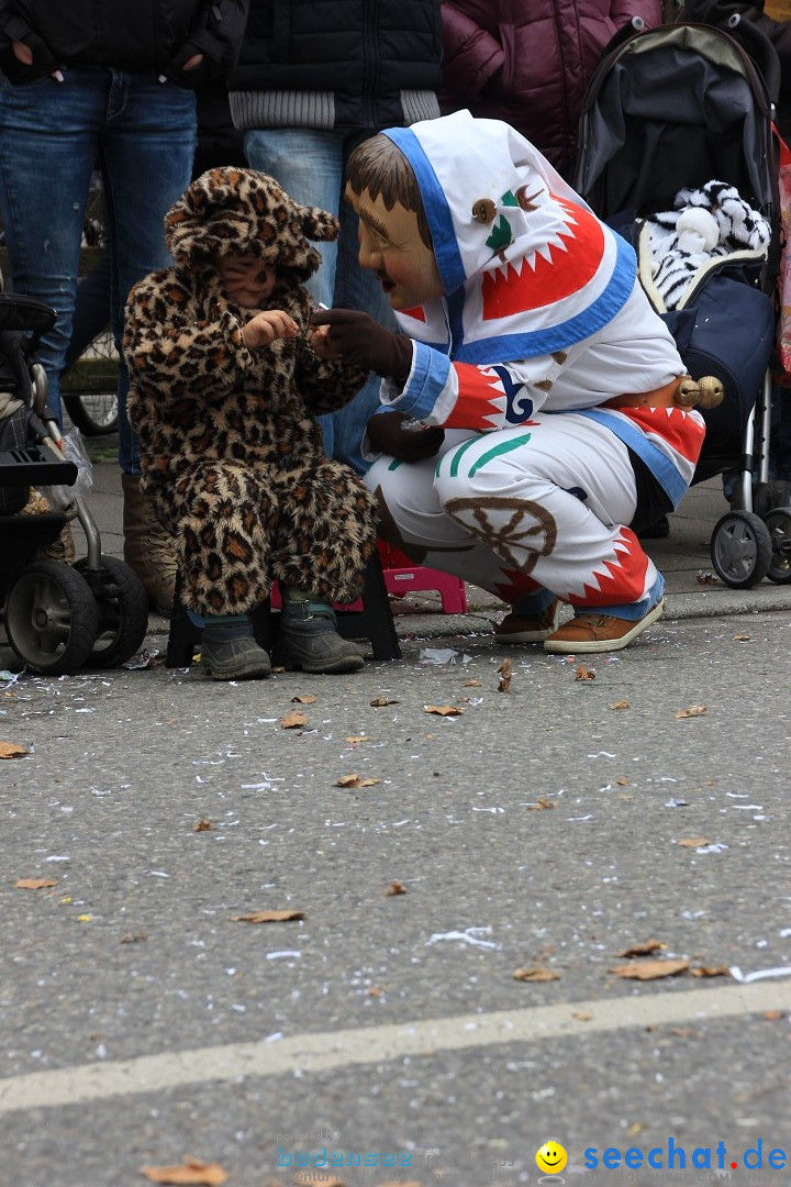 Fasnetsumzug - Fasching: Friedrichshafen am Bodensee, 01.03.2014